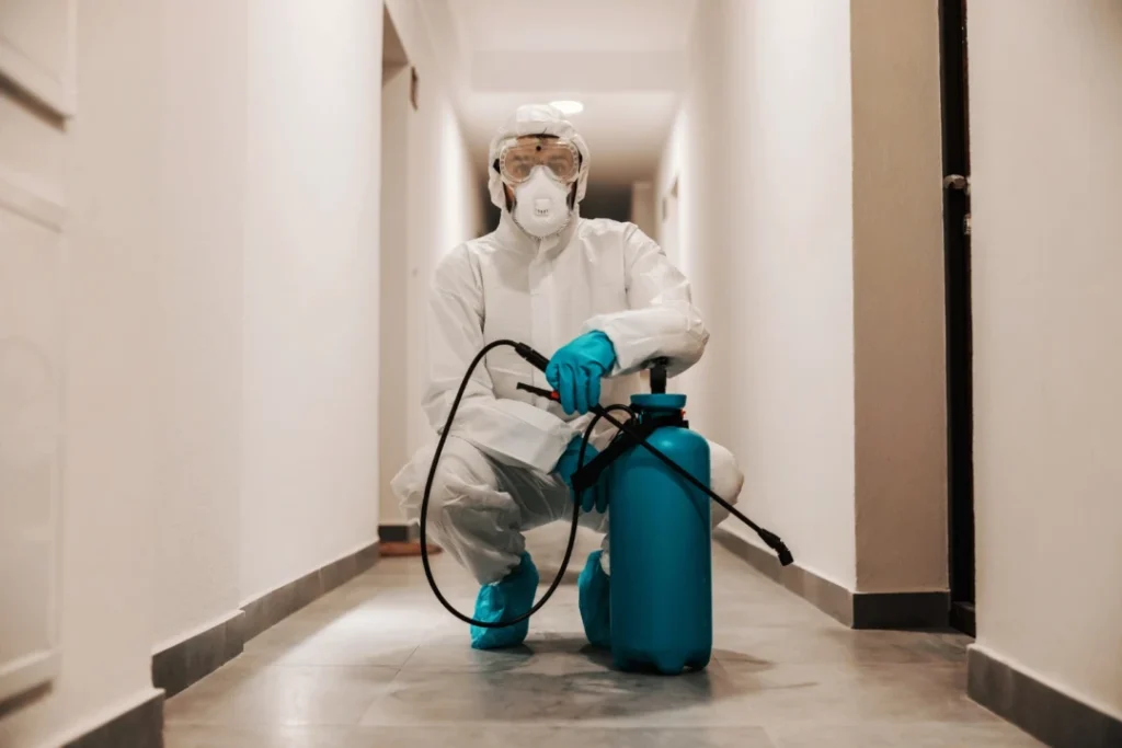 Nuisibles : les erreurs les plus fréquentes qui aggravent une infestation